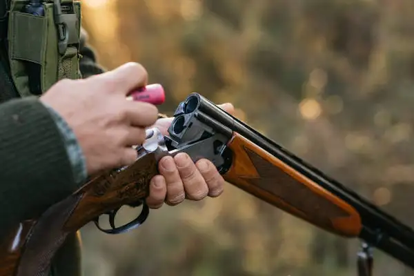Shotgun 