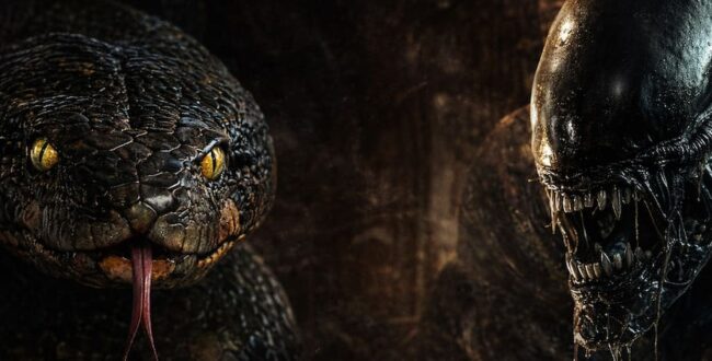 Anaconda Overtakes Alien 3 at the Domestic Box Office